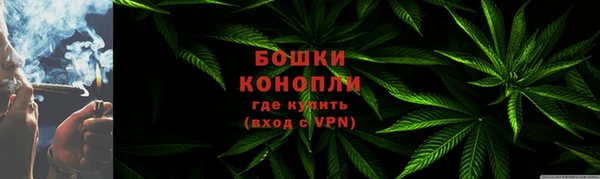 шишки Михайловск